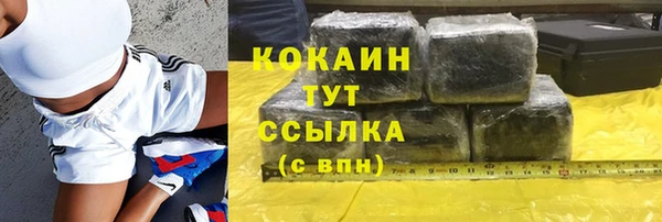 амф Гусь-Хрустальный