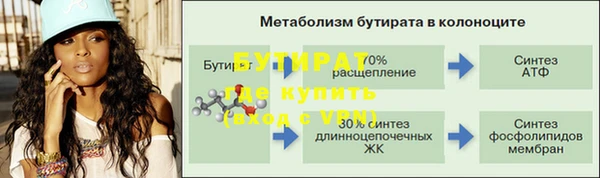 амф Гусь-Хрустальный