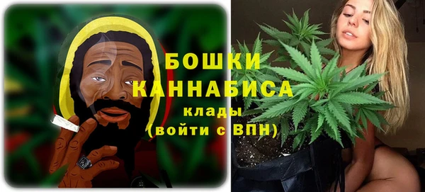 амф Гусь-Хрустальный
