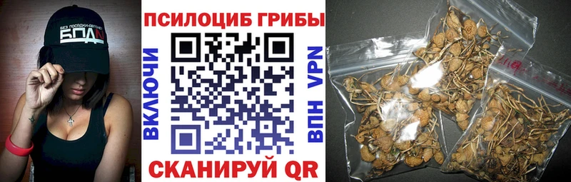 Псилоцибиновые грибы прущие грибы MEGA зеркало Санкт-Петербург как найти закладки