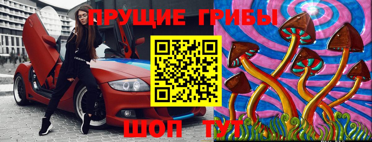 Галлюциногенные грибы GOLDEN TEACHER Россия