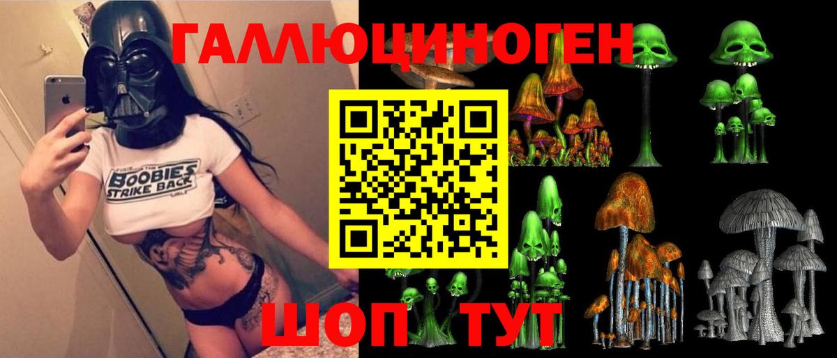 Галлюциногенные грибы Psilocybe  Галлюциногенные грибы мухоморы  Россия  Вход с VPN 