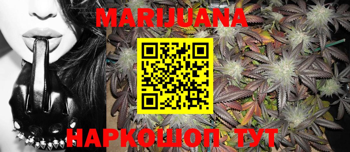Конопля Ganja  Россия  Шишки марихуана сатива  Каннабис OG Kush 