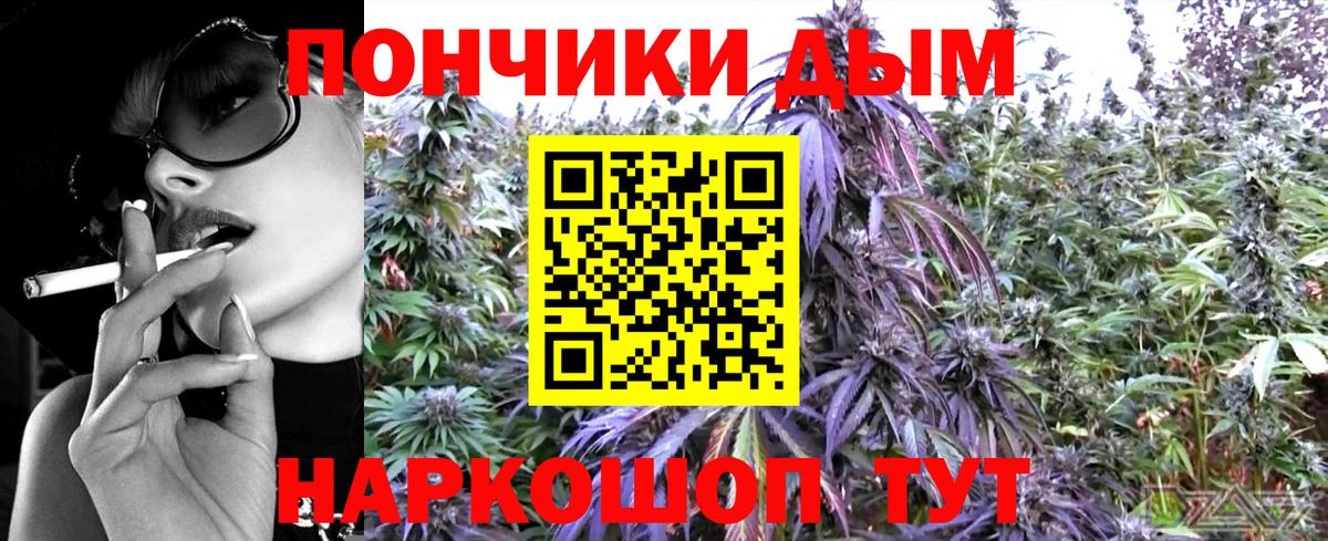 Бошки марихуана OG Kush Россия